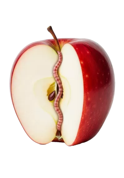 Imagen PNG para descargar